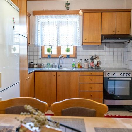 Zagori Home Монодендри Экстерьер фото